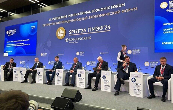На Петербургском международном экономическом форуме (ПМЭФ) юристы забили тревогу: в России грядет волна судебных разбирательств.